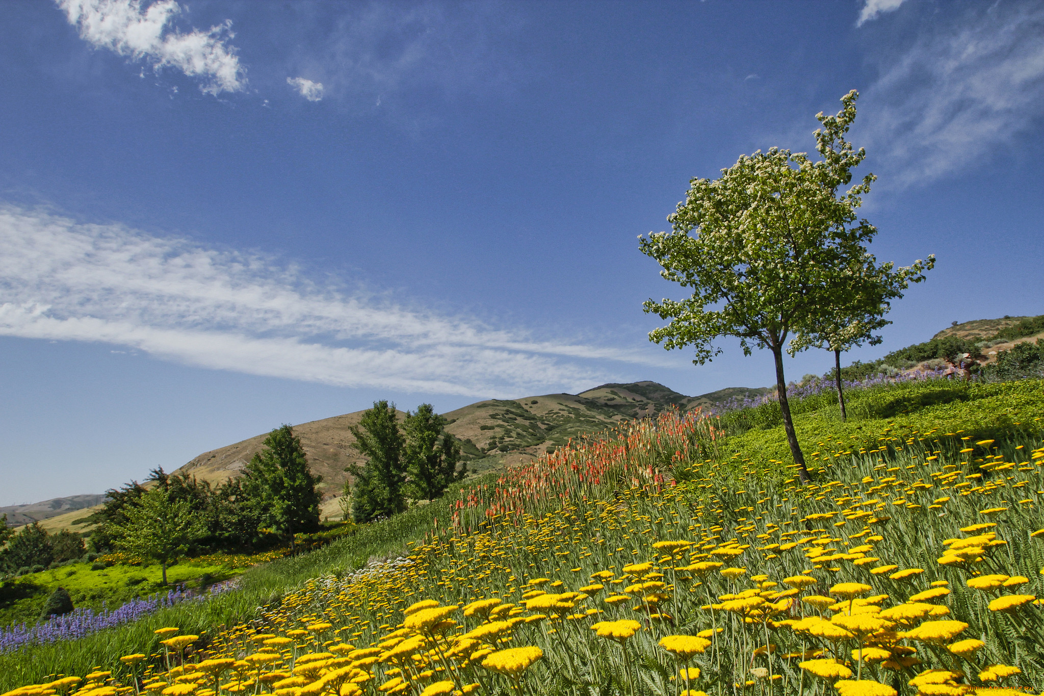 red, butte, garden, salt, lake, city, utah, , , , , , , 